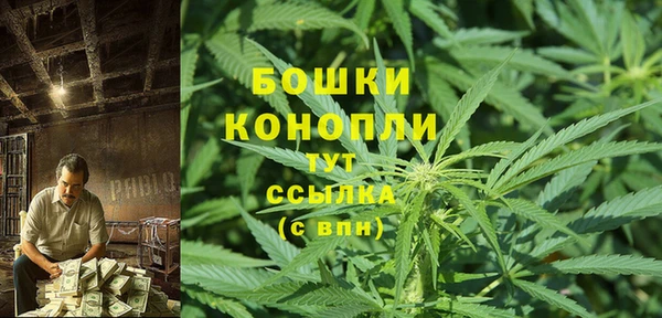соль ск Нея