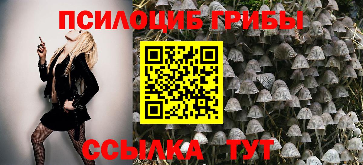 Галлюциногенные грибы GOLDEN TEACHER Екатеринбург