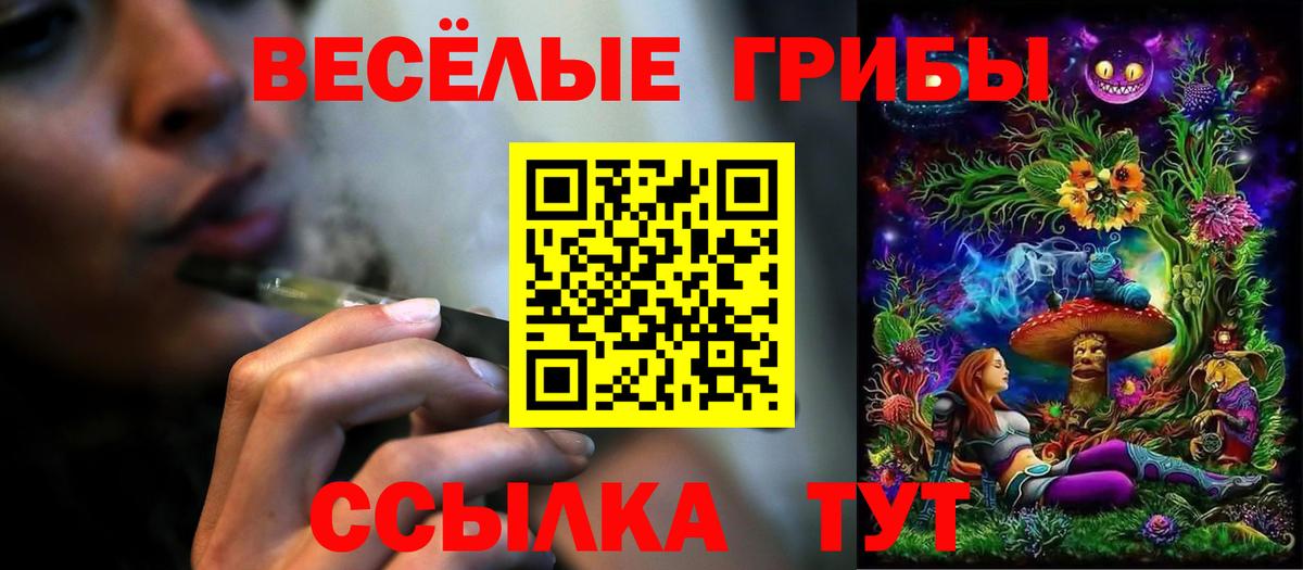 Галлюциногенные грибы Cubensis  Вход с VPN  Екатеринбург 